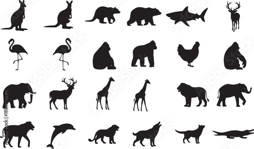 Collection of Diverse Animal Silhouettes on a White Background, Showcasing Various Species from Different Habitats