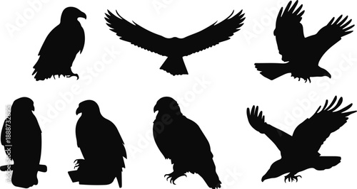 A striking black silhouette of a majestic bird of prey perched calmly