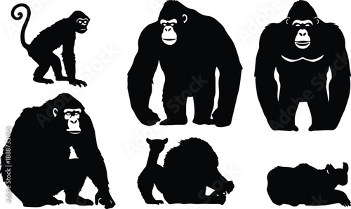 A stark black silhouette of a pampas grass plume against a white background