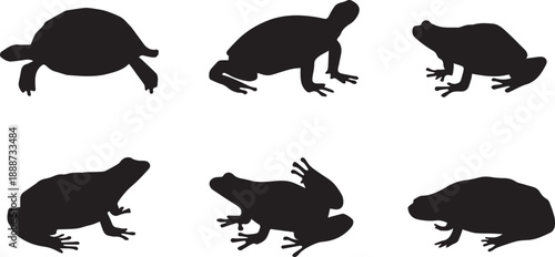 A black silhouette of a harbor seal resting on a surface