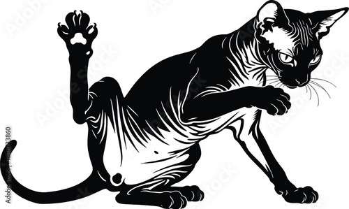 Playful cat stretching with raised paw in dynamic pose