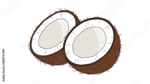 Two halves of a fresh cracked coconut showing the white meat and textured brown shell on a white background.