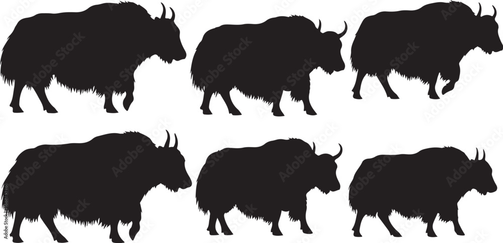 Fototapeta premium Set of bison silhouettes walking in different positions slowly