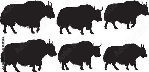 Set of bison silhouettes walking in different positions slowly