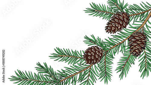 Evergreen Branch with Cones A Festive Holiday Decoration.