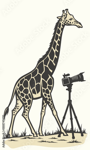 Giraffe Photographer Capturing Wildlife with a Camera.