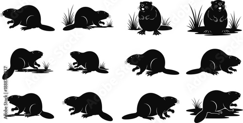 Wildlife beaver silhouette vector set in various poses and natural habitat elements for forest, animal, and nature-themed design use.