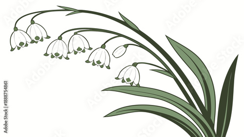 Elegant Lily of the Valley Illustration with Delicate White Flowers.