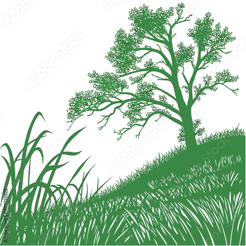 Green Tree and Grass Illustration on a Hillside.