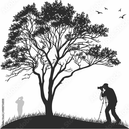 Silhouette of photographers capturing a tree and birds in flight.