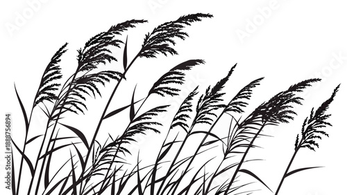 Silhouetted Reeds Against a White Background in a Minimalist Style.