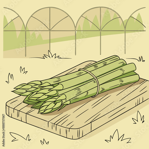 Fresh Asparagus Bunch on Cutting Board