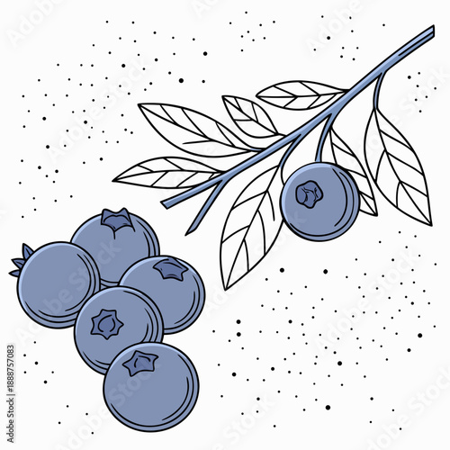 Fresh Blueberries on a Branch with Scattered Dots