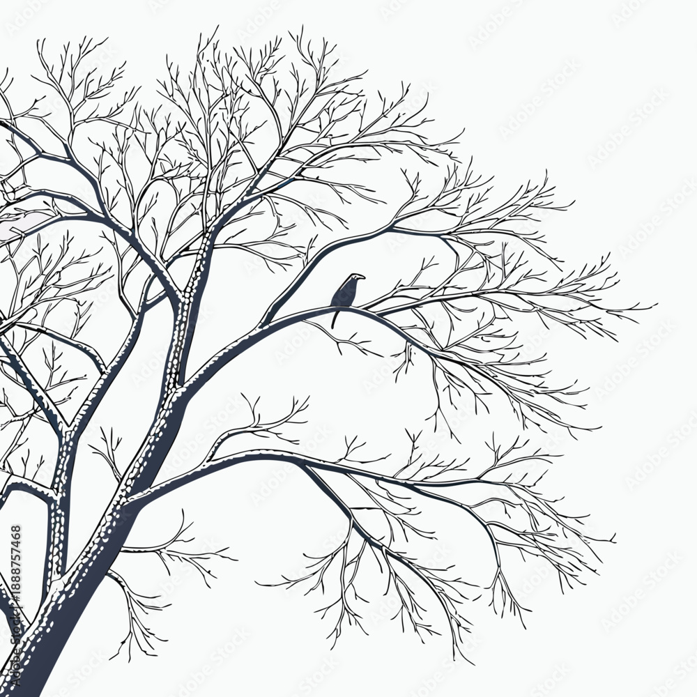 Fototapeta premium Winter Tree Silhouette with Bird Perched on Branch.