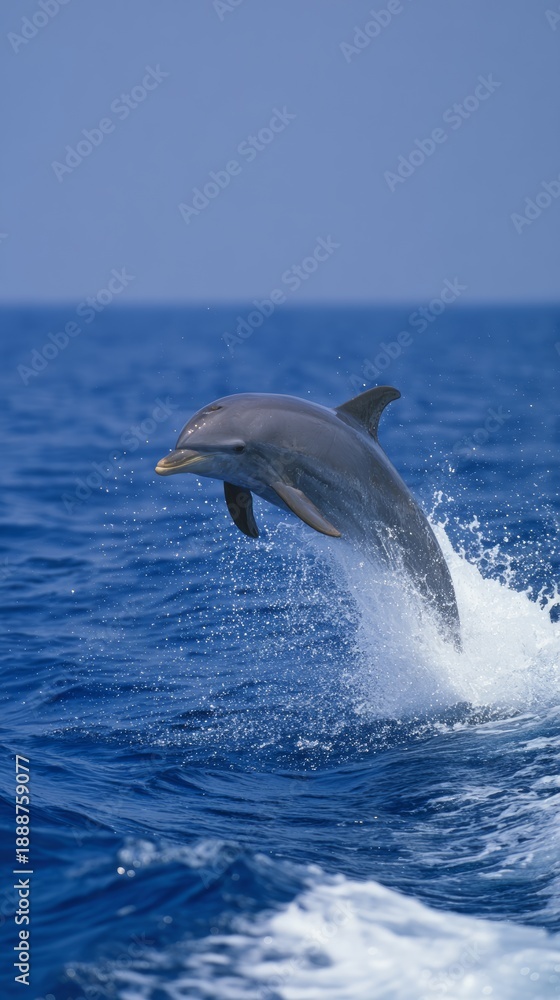 Fototapeta premium dolphin. Dolphin leaping from ocean water, splash in mid-air, natural sunlight. wildlife magazines, conservation campaigns, designed for nature documentaries and education. 