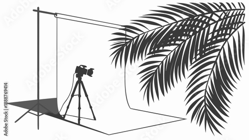 Studio Setup with Camera and Backdrop Under Tropical Palm.