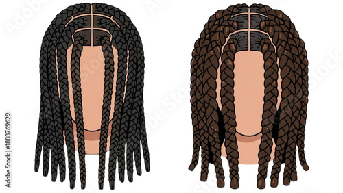 Illustration of two mannequin heads with braided hairstyles showcasing different braiding patterns and hair colors from a rear view