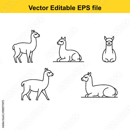  Five alpacas in various poses editable vector illustration