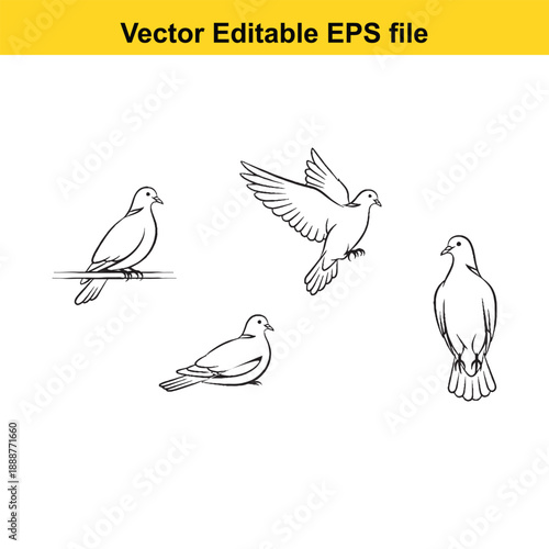  Four doves in flight and perched in black and white vector illustration