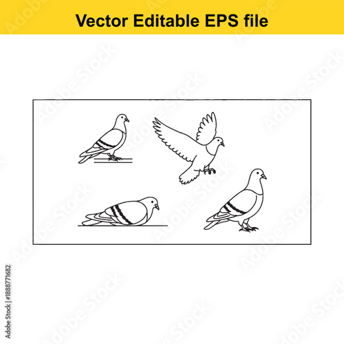  Four pigeons in flight and resting black and white vector illustration