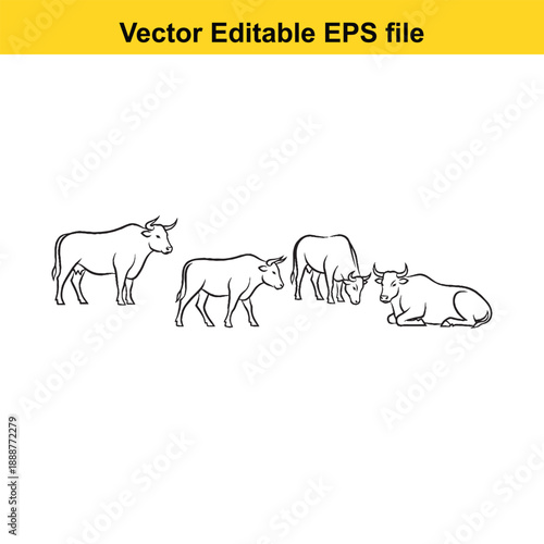  Cows and calf line drawing herd standing and lying down