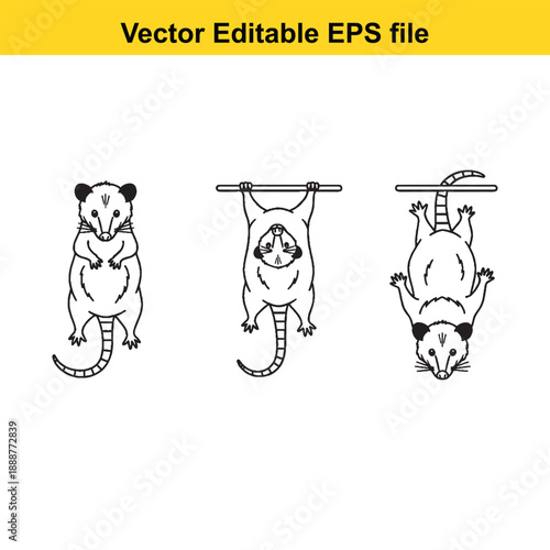  Opossums hanging upside down vector editable illustrations