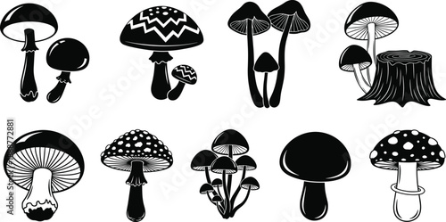 Mushroom Silhouette Icon Set with Various Forest Fungi Shapes, Botanical Nature Illustration in Black and White Style