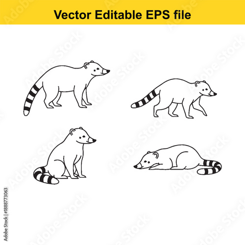  Four raccoon poses editable vector illustrations