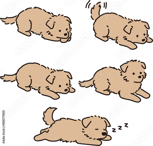 애견 반려견 강아지 일러스트 