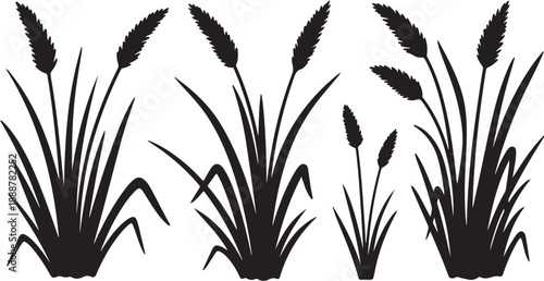 Black Silhouettes of Cattails on White Background Illustration Set