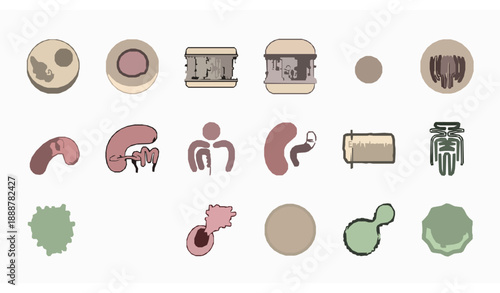 Cell structure icons vector set with editable stroke biology outline symbols for education and science