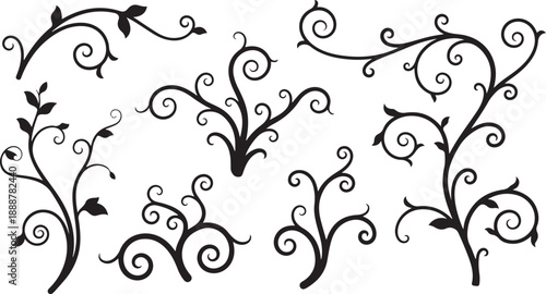 Black floral silhouettes with swirling stems and leaves design