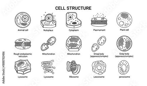 Biology cell structure icons vector editable stroke scientific organelle symbols