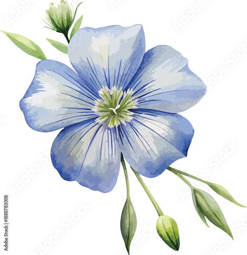 Linseed Flower Botanical Watercolor Vector Illustration