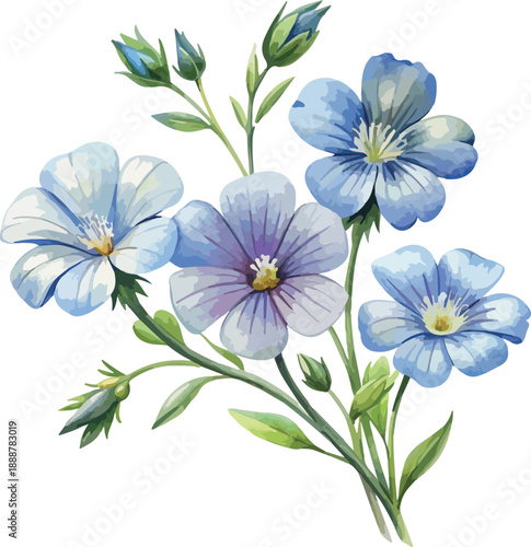 Flax Plant Flower Watercolor Vector Illustration