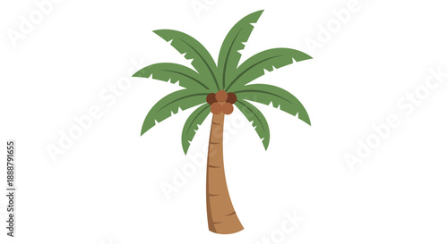 Palm_tree_with_green_fronds_and_brown_coconuts.
