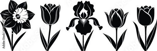 MobileSet of black floral silhouettes, including daffodil, iris, and tulips, vector illustration isolated on white background for spring garden decoration, botany design icons.