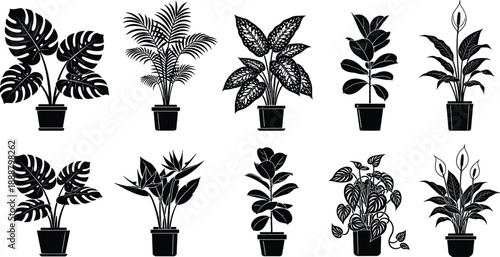 Large collection of diverse people silhouettes, standing walking jumping and sitting figures, family groups and active couples, isolated black vector icons on white background