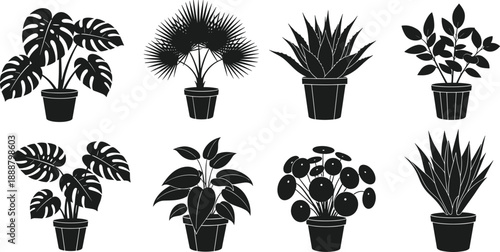 Large collection of indoor houseplant silhouettes in ceramic pots, featuring monstera, palm, succulent, aloe vera, and snake plants for botanical home decor vector design