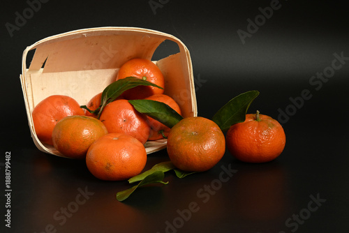 Minimalist composition with bright citrus fruits and green leaves. High-quality food photography for premium brands.