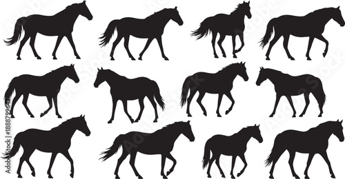Silhouettes of horses walking in various poses and directions