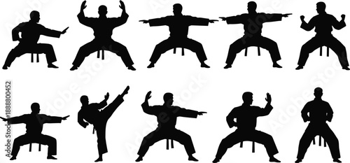 Martial arts silhouettes set featuring karate fighter in various action poses, kata movements, high kick, combat stances, and defensive training positions for sport design