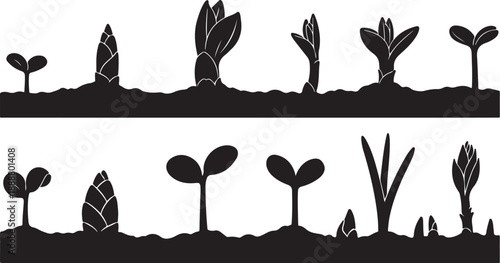 Various Plant Silhouettes Growing in Soil on White Background
