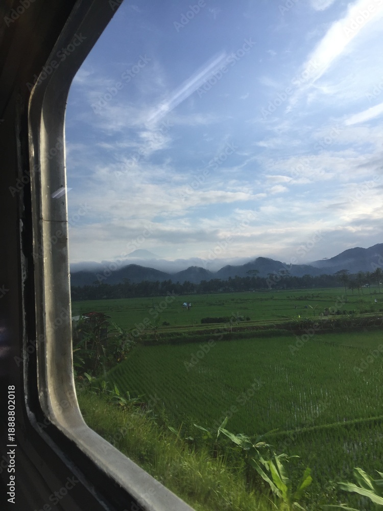Fototapeta premium natural views of hills and expanses of rice fields seen from the train window