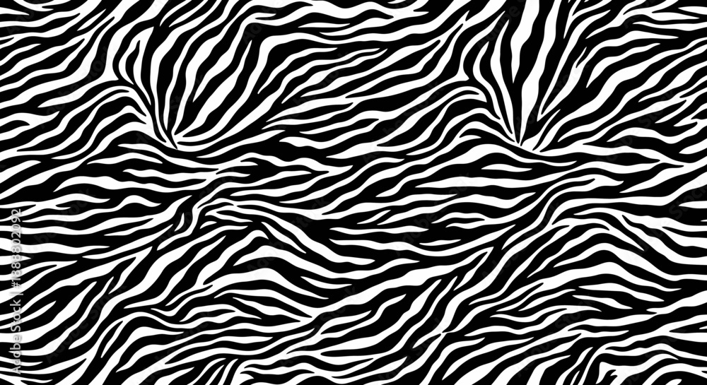 Fototapeta premium Black and white zebra pattern texture background.