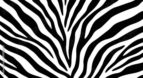 Black and white zebra pattern with striped texture.