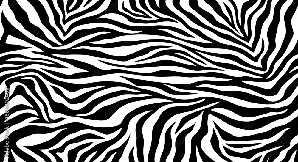 Fototapeta premium Black and white zebra pattern texture background.