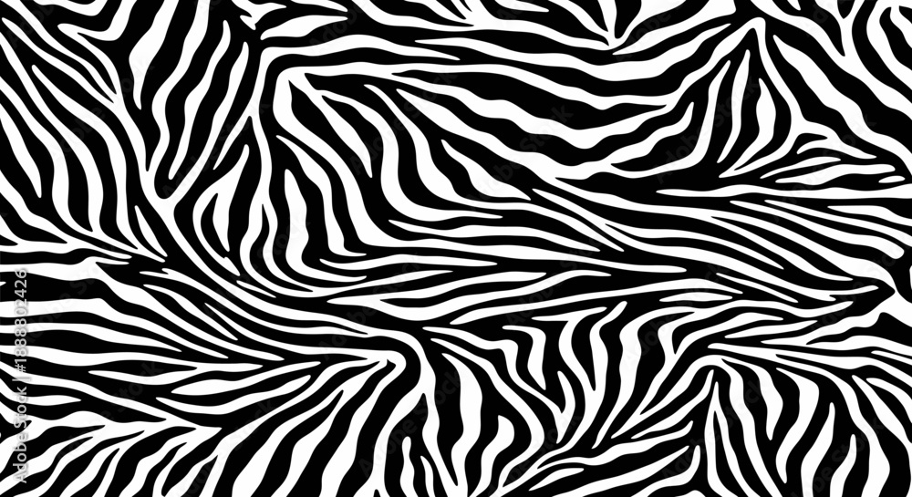 Fototapeta premium Black and white zebra pattern texture background.