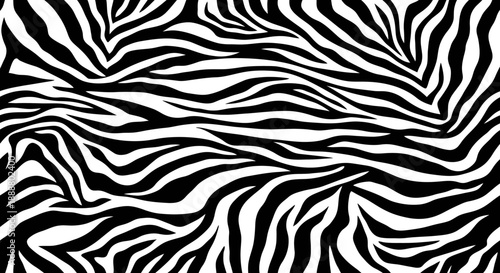 Black and white zebra pattern texture background.