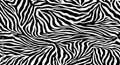 Black and white zebra pattern texture background.